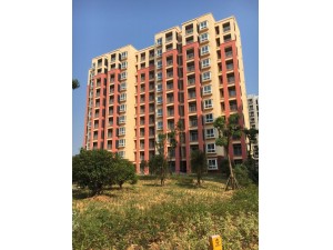 “省標(biāo)化工地”幸福春天15#、18#樓