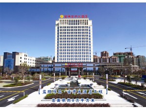 金瑞古井大酒店及金瑞名城小區項目